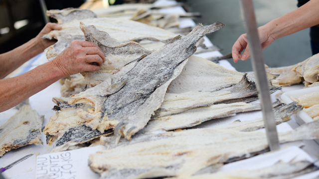 Bacalhau