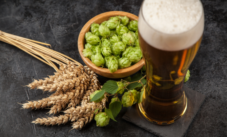 cerveja-levedura