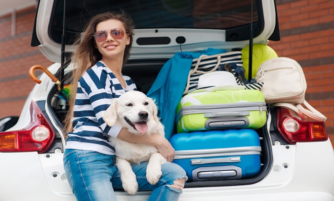 /Nova_viagem