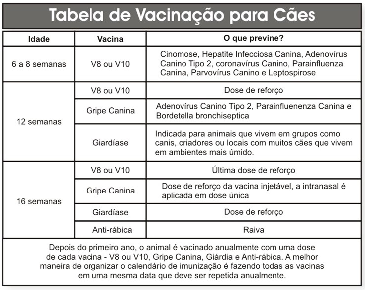 vacina-caes