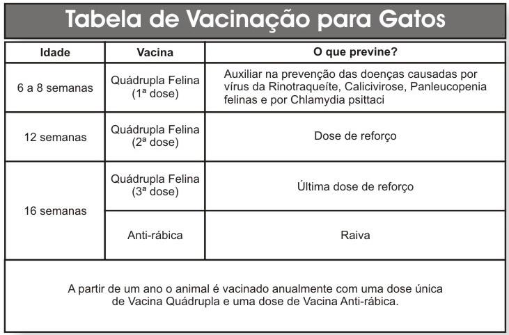 vacinacao-gatos